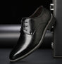 Men's pointed-toe lace-up dress shoe with a polished finish