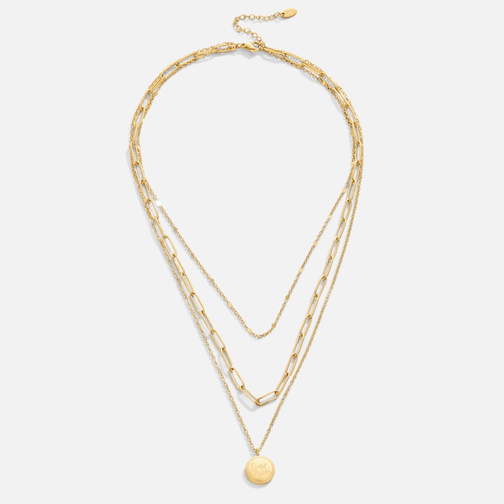 Jocelyn Coin Layered Necklace 3