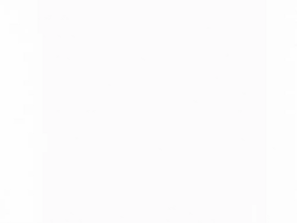 <h3><strong>Wide toe box</strong></h3>