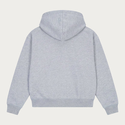 Grey men's zip hoodie with hood, long sleeves and front pockets