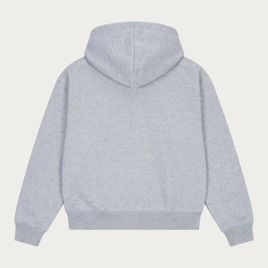 Grey men's zip hoodie with hood, long sleeves and front pockets