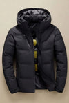 Amato Black