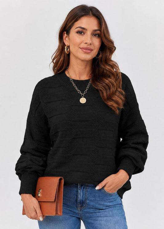 Women's textured crew neck sweater with long sleeves and geometric knit details