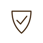 Shipping protection shield icon